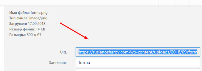 Как найти ссылку на изображение вордпресс