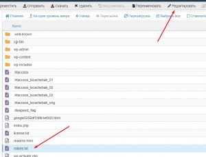 Редактировать файлы сайта