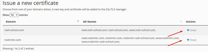 Открываем домен для установки ssl